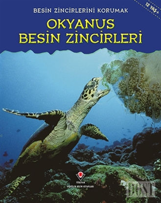 Besin Zincirlerini Korumak Okyanus Besin Zincirleri